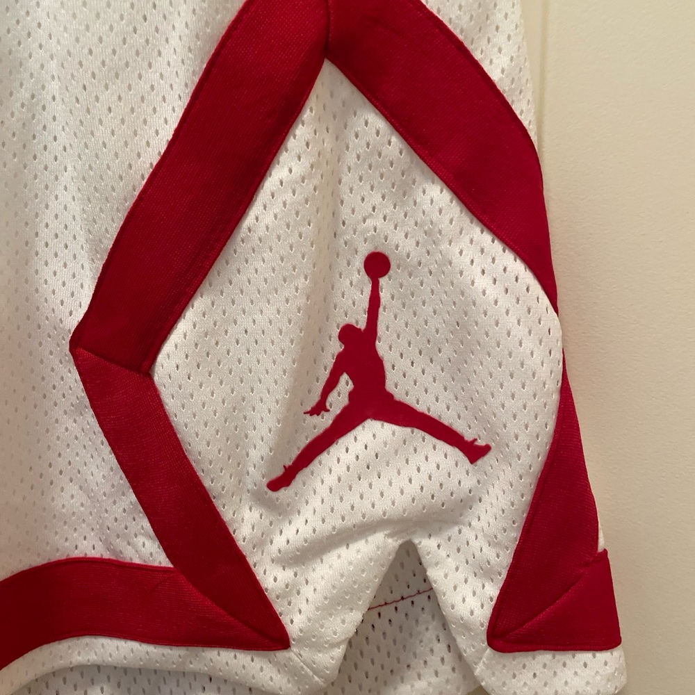 Nike Jordan Mesh Shorts- Women’s Large - Picture 5 of 9
